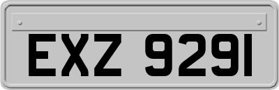 EXZ9291