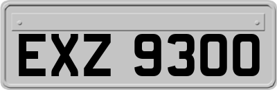 EXZ9300