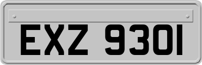 EXZ9301