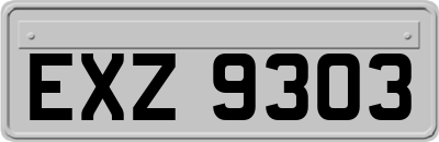 EXZ9303