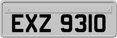 EXZ9310