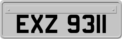 EXZ9311