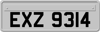 EXZ9314