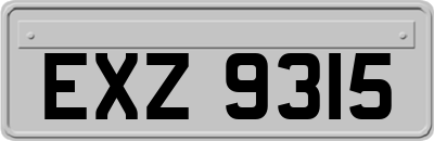 EXZ9315