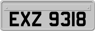 EXZ9318