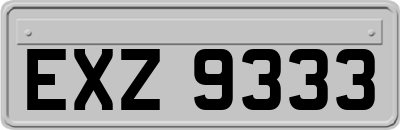 EXZ9333