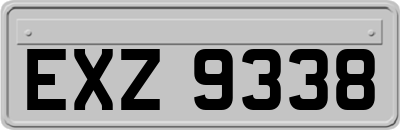 EXZ9338