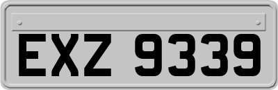 EXZ9339