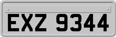 EXZ9344