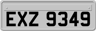 EXZ9349