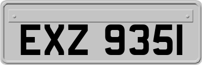 EXZ9351