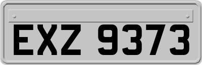 EXZ9373