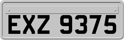 EXZ9375