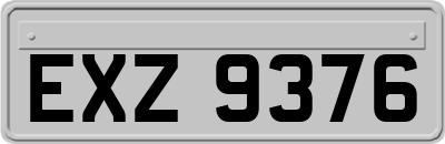 EXZ9376