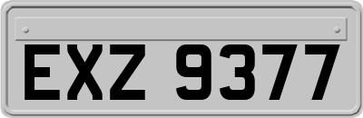 EXZ9377