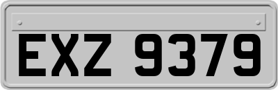 EXZ9379