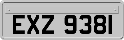 EXZ9381