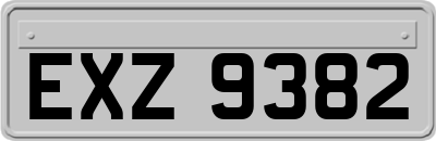 EXZ9382