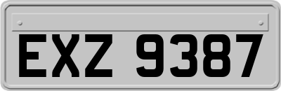 EXZ9387