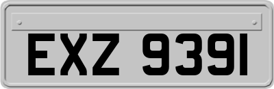 EXZ9391