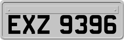 EXZ9396