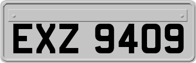 EXZ9409