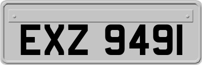 EXZ9491