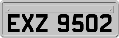 EXZ9502
