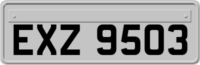 EXZ9503