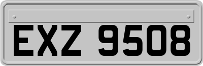 EXZ9508