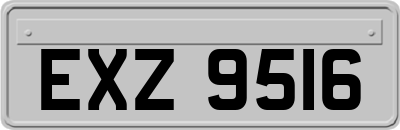 EXZ9516