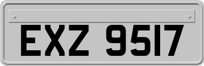 EXZ9517
