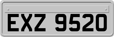EXZ9520
