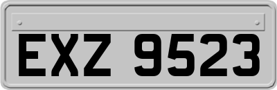 EXZ9523