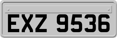 EXZ9536