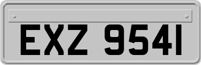 EXZ9541