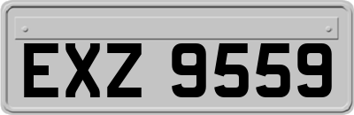 EXZ9559
