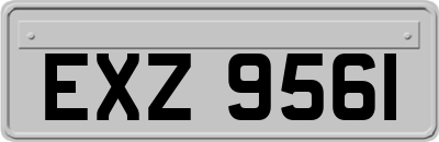 EXZ9561