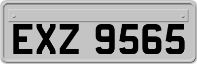 EXZ9565