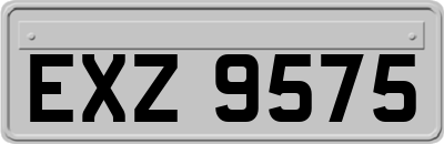 EXZ9575
