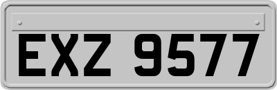 EXZ9577