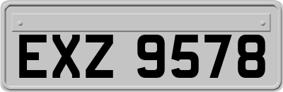 EXZ9578
