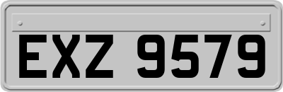 EXZ9579