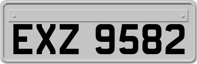 EXZ9582