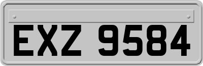EXZ9584