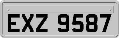 EXZ9587