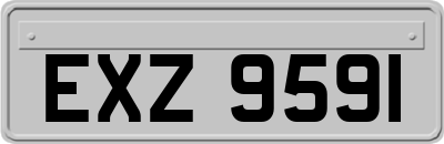 EXZ9591