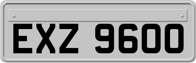 EXZ9600