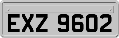 EXZ9602