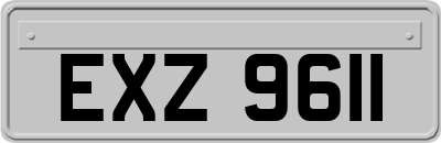 EXZ9611